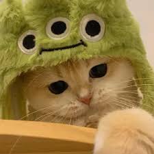 Trần Văn Quyết avatar