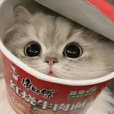 Trần Tiến Đạt avatar